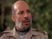 Avari's roles have ranged far and wide, including a Libyan representative in seaQuest DSV.