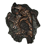 chronicle_fossil-01.jpg