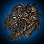 chronicle_fossil-03.jpg