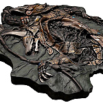 chronicle_fossil-04.jpg