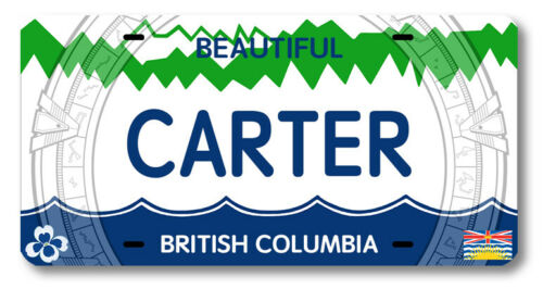 Carter License Plate
