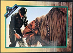 movie-trading-card-25.jpg