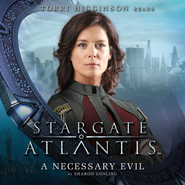 02-a-necessary-evil-torri-higginson.jpg